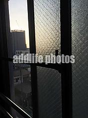 オーベル戸田公園の腰高引違い窓