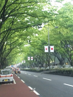 緑の表参道