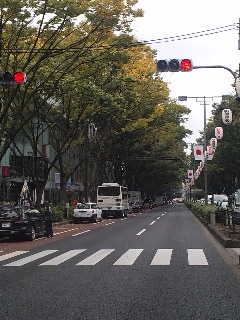 今日の表参道