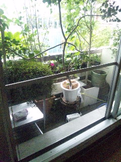 テラス窓の大きな網戸